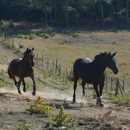 Boavista - Rural Perto Da Ericeira פארק נופש