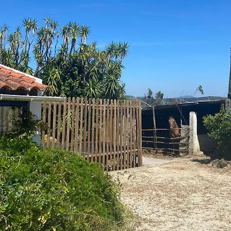Boavista - Rural Perto Da Ericeira Prázdninový areál