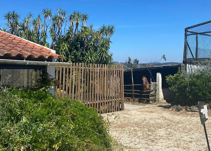 Boavista - Rural Perto Da Ericeira Πάρκο διακοπών